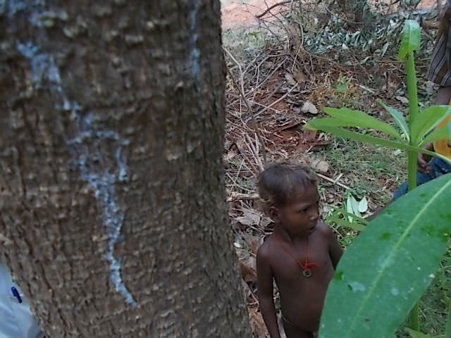 kanaiyerumai virutsam 1_mini