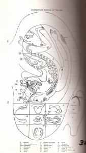 auriculo theraphy 2
